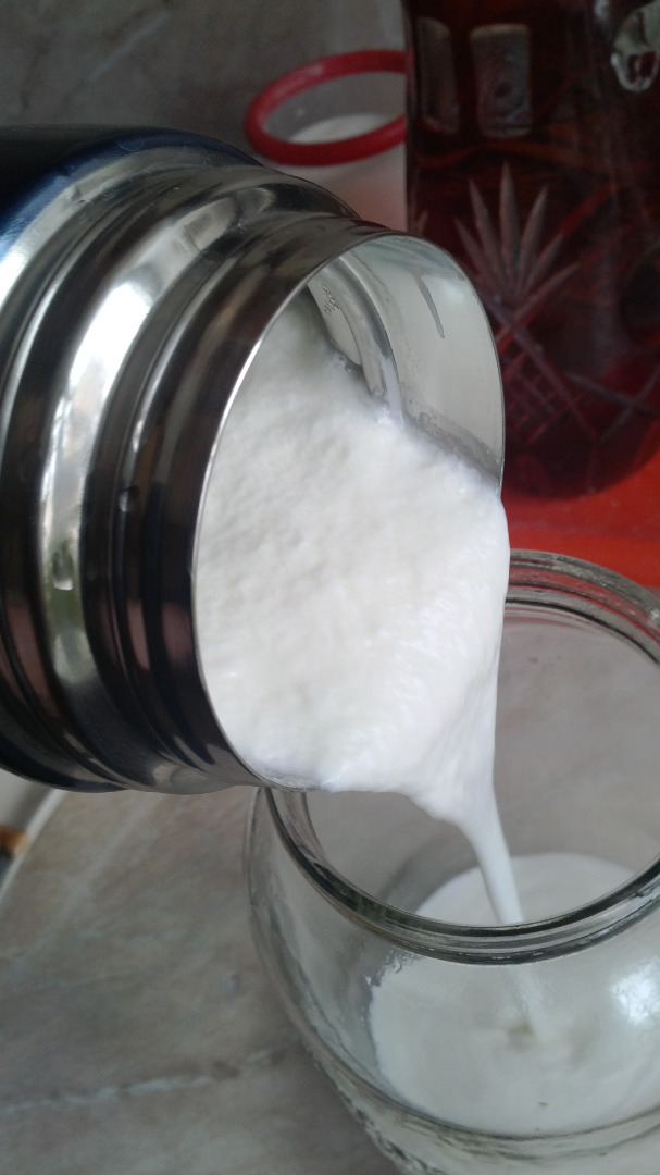 Home yoghurt making