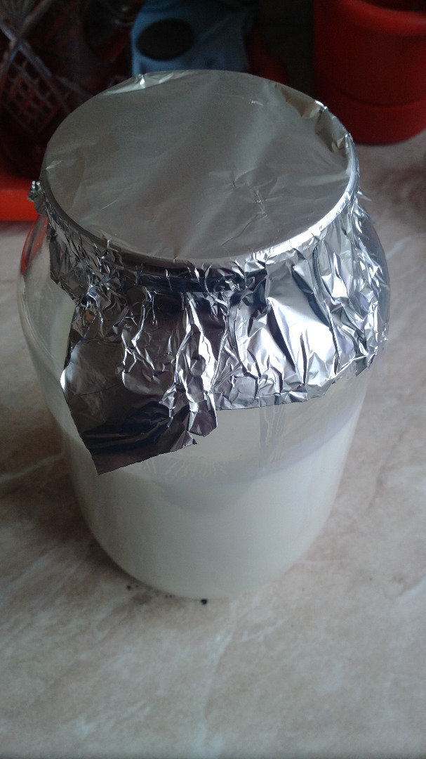 Home yoghurt making