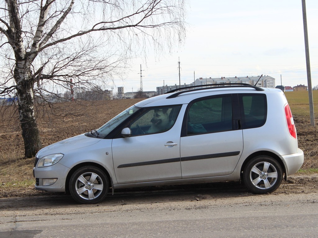 Skoda Roomster - Overview